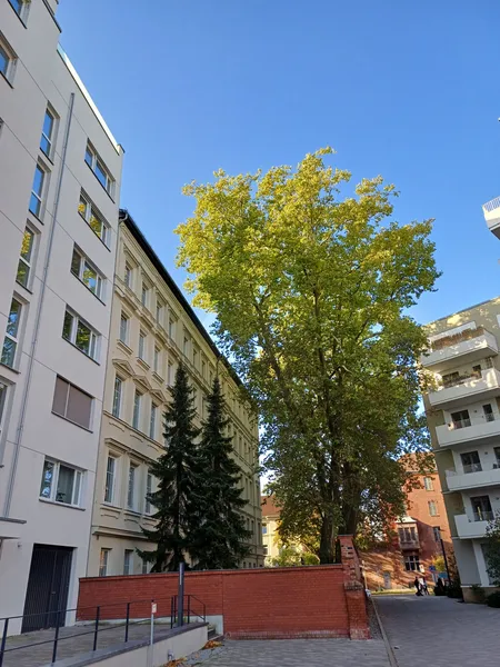 Kompakt geschnittene 2-Zimmrwohnung mit Balkon,  Neubauwohnprojekt Klara-Franke-Straße — photo 1
